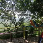 Tayrona Breeze